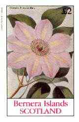 Bernera 1982 Flowers #22 (Clematis) imperf deluxe sheet (Â£2 value) unmounted mint