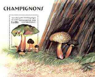 Cambodia 1997 Mushrooms m/sheet unmounted mint SG MS 1701