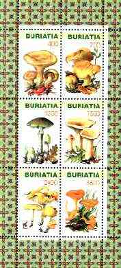 Buriatia Republic 1998 Fungi #03 perf sheetlet containing complete set of 6 values unmounted mint