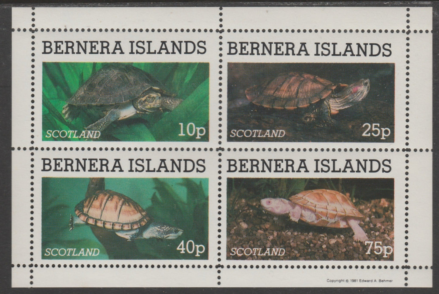 Bernera 1981 Turtles perf set of 4 values (10p to 75p) unmounted mint