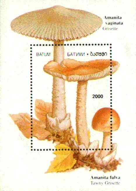 Batum 1997 Mushrooms perf souvenir sheet (2000 value) unmounted mint