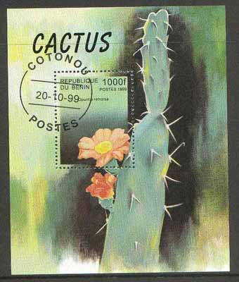 Benin 1999 Cactus Flowers m/sheet fine cto used