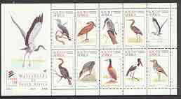 South Africa 1997 World Environment Day (Waterbirds) sheetlet containing set of 10 values unmounted mint, SG 977a