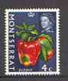Montserrat 1965 Pepper 4c from Fruit & Vegetables def set, unmounted mint SG 163