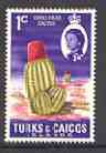 Turks & Caicos Islands 1967 Cactus 1d from def set unmounted mint, SG 274*