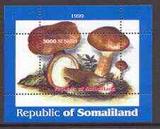 Somaliland 1999 Fungi perf souvenir sheet unmounted mint
