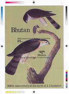 Bhutan 1985 John Audubon Bicentenary - Intermediate stage computer-generated essay #1 (as submitted for approval) for 25nu m/sheet (Sharp-shinned Hawk) 140 x 200 mm very similar to issued design plus marginal markings, ex Governme……Details Below