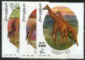 Somalia 2000 Giraffes perf set of 3 unmounted mint Michel 808-10*