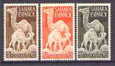 Spanish Sahara 1951 Colonial Stamp Day (Dromedary & Calf) set of 3 unmounted mint, SG 88-90*