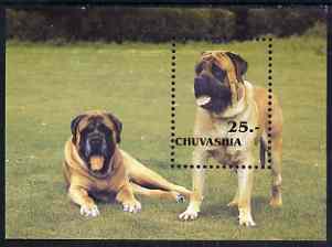 Chuvashia Republic 2001 Dogs perf m/sheet unmounted mint (Bull Mastiff)