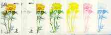 Dhufar 1977 Garden Flowers 3B (Adonis) set of 7 imperf progressive colour proofs comprising the 4 individual colours plus 2, 3 and all 4-colour composites unmounted mint