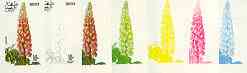 Dhufar 1977 Garden Flowers 10B (Lupin) set of 7 imperf progressive colour proofs comprising the 4 individual colours plus 2, 3 and all 4-colour composites unmounted mint
