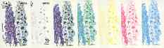 Dhufar 1977 Garden Flowers 20B (Delphinium) set of 7 imperf progressive colour proofs comprising the 4 individual colours plus 2, 3 and all 4-colour composites unmounted mint