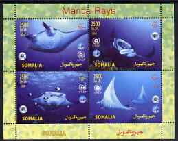 Somalia 2004 Manta Rays perf sheetlet containing 4 values unmounted mint