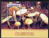 Cambodia 2001 Fungi perf m/sheet unmounted mint SG MS2114