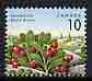 Canada 1991 Kinnikinnick 10c from def set unmounted mint, SG 1465