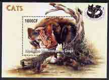 Congo 2005 Domestic Cats perf m/sheet unmounted mint