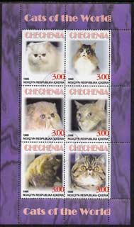 Chechenia 1998 Domestic Cats perf sheetlet containing 6 values fine cto used