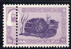 Dubai 1963 Sea Urchin 35np fine unused single (no gum) with double perfs at left, SG 11