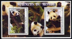 Benin 2002 Pandas perf m/sheet containing 2 values each with Scout Logo, unmounted mint