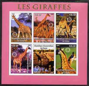 Congo 2003 Giraffes imperf sheetlet #02 (pink border) containing 6 values each with Rotary Logo, unmounted mint