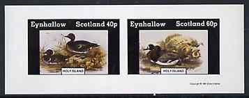 Eynhallow 1981 Ducks #5 imperf sheetlet containing set of 2 values unmounted mint