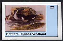 Bernera 1982 Birds #34 imperf deluxe sheet (£2 value) unmounted mint