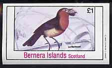 Bernera 1981 Birds #37 imperf souvenir sheet (Â£1 value) unmounted mint