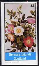 Bernera 1982 Flowers #25 (Dogrose) imperf souvenir sheet (£1 value) unmounted mint