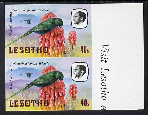 Lesotho 1981 Malachite Sunbird 40s def in unmounted mint imperf pair* (SG 445)
