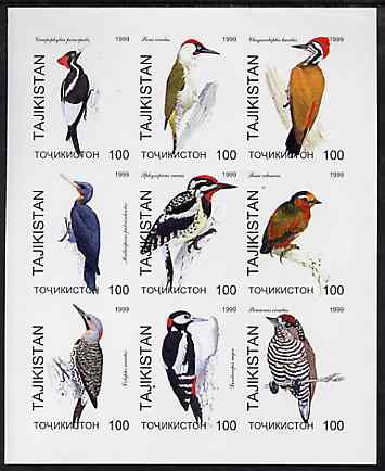 Tadjikistan 1999 Woodpeckers imperf sheetlet containing complete set of 9 values unmounted mint