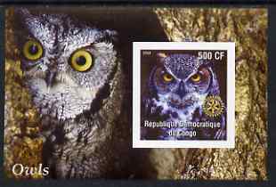 Congo 2004 Owls #4 imperf souvenir sheet with Rotary Logo, unmounted mint