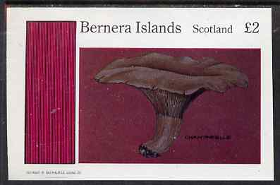 Bernera 1983 Fungi (Chantarelle) imperf deluxe sheet (£2 value) unmounted mint