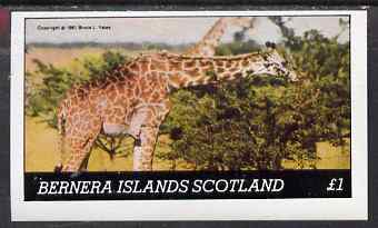 Bernera 1981 Giraffes imperf souvenir sheet (Â£1 value) unmounted mint
