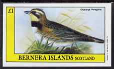 Bernera 1983 Otocorys peregrina imperf souvenir sheet (£1 value) unmounted mint
