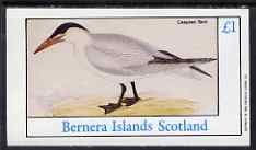 Bernera 1983 Birds - Caspian Tern imperf souvenir sheet (£1 value) unmounted mint