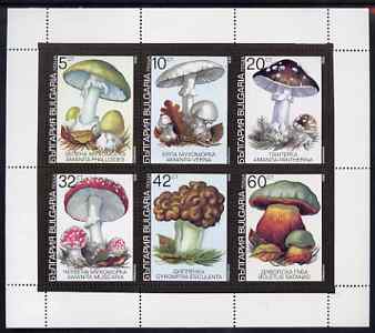 Bulgaria 1991 Fungi sheetlet containing complete set of 6 unmounted mint, SG 3746-51, Mi 3886-91