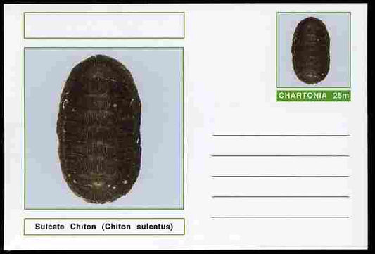 Chartonia (Fantasy) Shells - Sulcate Chiton (Chiton sulcatus) postal stationery card unused and fine