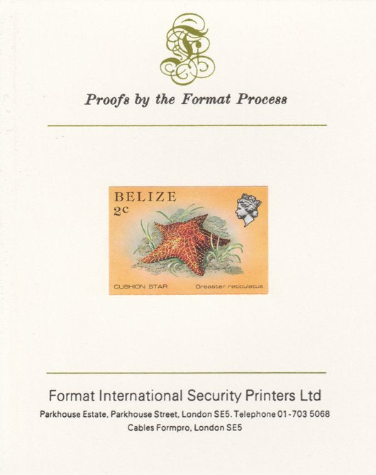 Belize 1984-88 Cushion Star 2c def imperf proof mounted on Format International proof card as SG 767