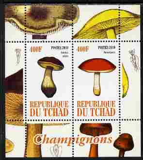 Chad 2010 Mushrooms #1 perf sheetlet containing 2 values unmounted mint