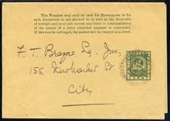 British Guiana 1c green newspaper wrapper locally used to 'City' with light cds cancel