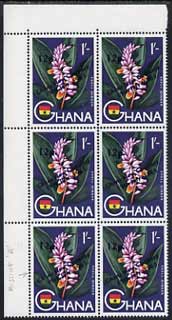 Ghana 1965 New Currency 12p on 1s unmounted mint block of 6, one stamp with a missing from Ghana