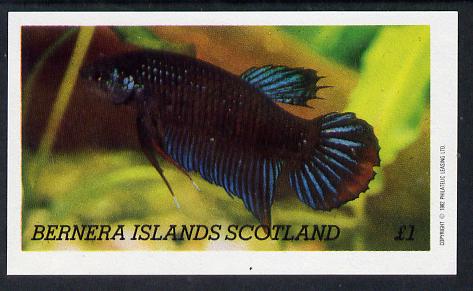 Bernera 1982 Tropical Fish imperf souvenir sheet (Â£1 value) unmounted mint