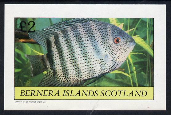 Bernera 1982 Tropical Fish imperf deluxe sheet (Â£2 value) unmounted mint