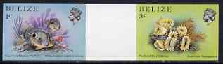 Belize 1984-88 Marine Life 1c & 3c se-tenant imperf gutter pair unmounted mint, scarce item from uncut proof sheet