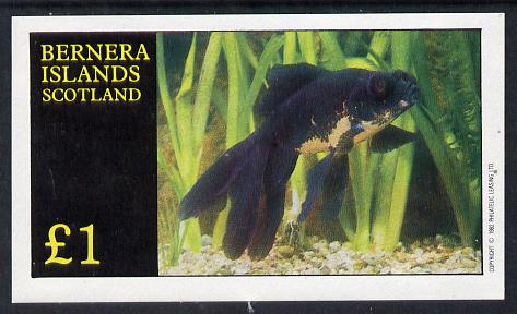 Bernera 1982 Ornamental Fish imperf souvenir sheet (£1 value) unmounted mint