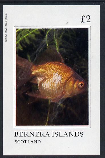 Bernera 1982 Ornamental Fish imperf deluxe sheet (£2 value) unmounted mint
