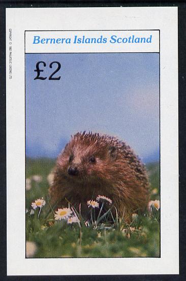 Bernera 1982 Animals (Hedgehog) imperf deluxe sheet (£2 value) unmounted mint
