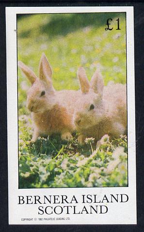 Bernera 1982 Rabbits imperf souvenir sheet (£1 value) unmounted mint