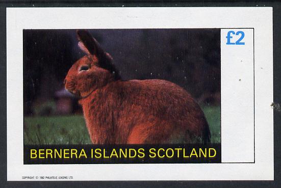 Bernera 1982 Rabbits imperf deluxe sheet (Â£2 value) unmounted mint